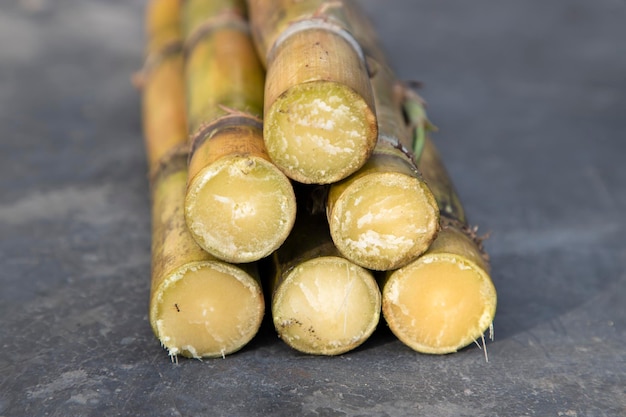 some  fresh  sugar cane slices of   row on the floor