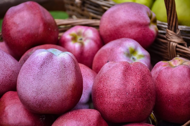 Some red apples in basket ripe apples closeup