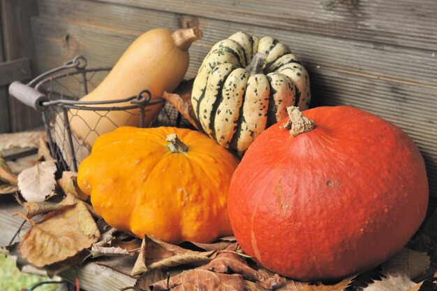 Some squashes in dried leaves on wood