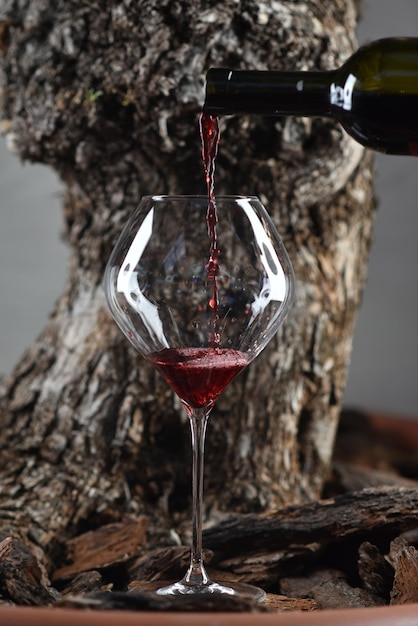 Sommelier pours red wine into a large glass against the background of tree bark