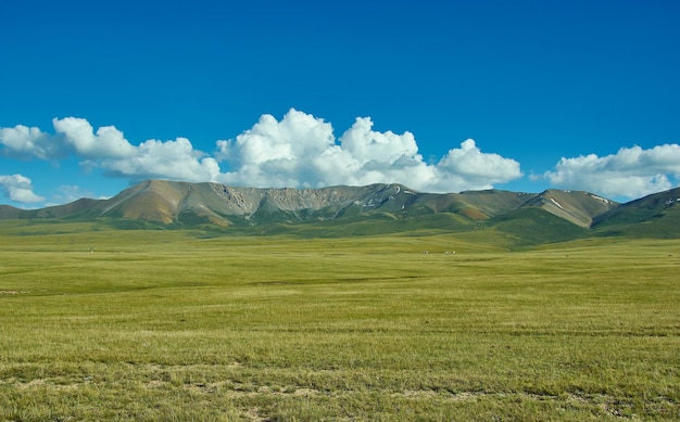 son kul mountain lake in kyrgyzstan is located at an altitude of over 3000 meters