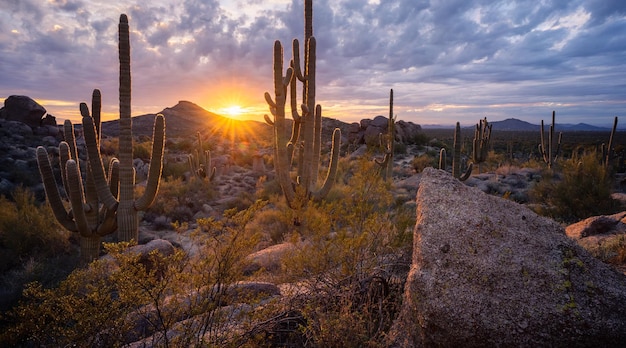 Photo sonoran desert sunset in boulder filled landscape at cholla mountain in mcdowell sonoran preserve