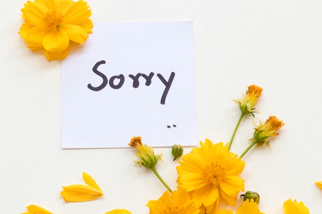 sorry message card handwriting with cosmos flowers