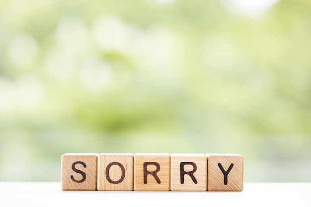 Sorry word is written on wooden cubes on a green summer background Closeup of wooden elements