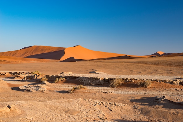 Sossusvlei Namibia, travel destination in Africa. Sand Dunes and clay salt pan.