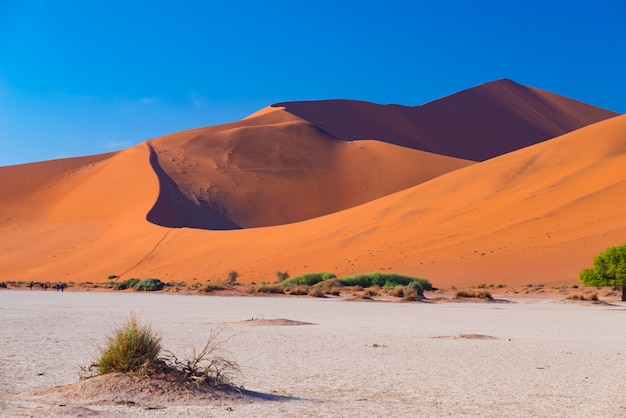 Sossusvlei Namibia, travel destination in Africa. Sand Dunes and clay salt pan.