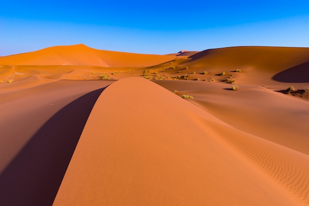 Sossusvlei Sand Dunes, Namib Naukluft National Park, Namib desert, scenic travel destination in Namibia, Africa.