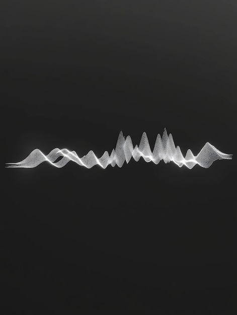 Photo sound wave in black and white