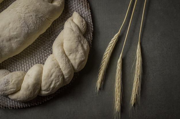 Sourdough bread fermenting gray background with dried wheat flower