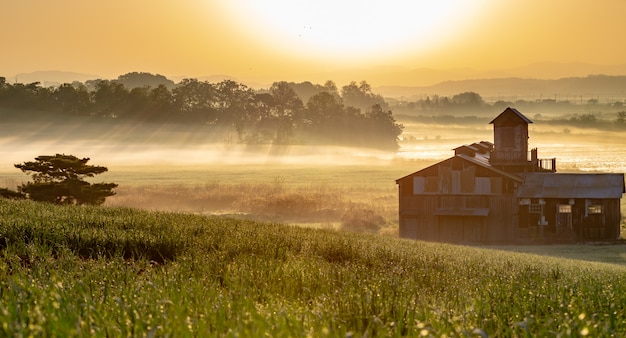 South Korea to Sunrise in Anseong Farmland Lightning and Fog