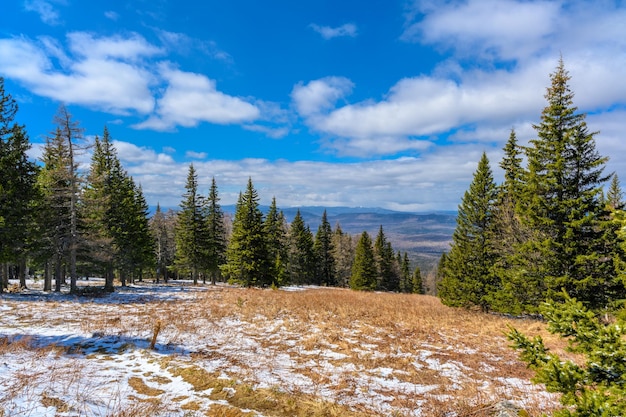 South Ural forest with a unique landscape vegetation and diversity of nature