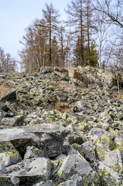 South Ural kurumnik stones cobblestones moss with a unique landscape vegetation and diversity of nature