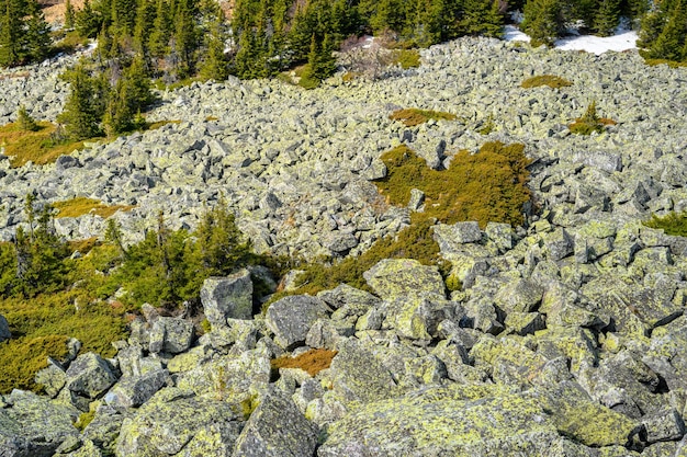 South Ural kurumnik stones cobblestones moss with a unique landscape vegetation and diversity of nature