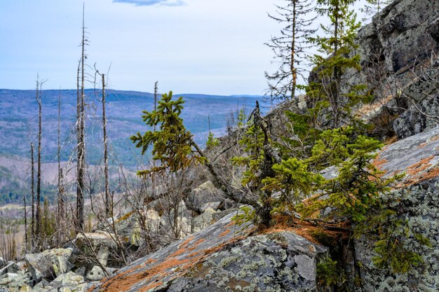 South Ural Mountains with a unique landscape vegetation and diversity of nature