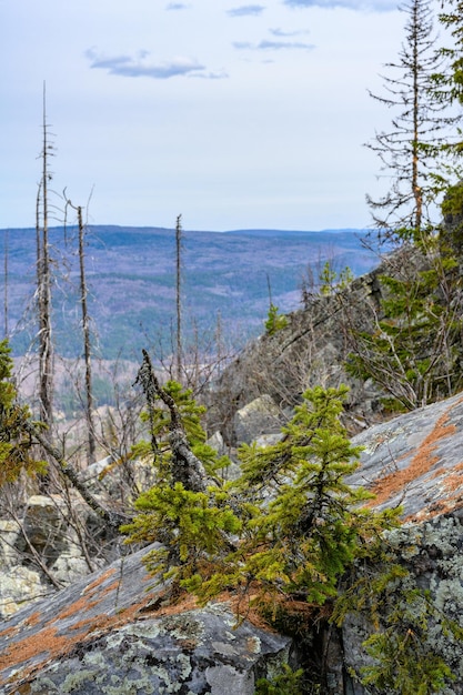 South Ural Mountains with a unique landscape vegetation and diversity of nature