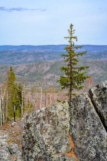 South Ural Mountains with a unique landscape vegetation and diversity of nature