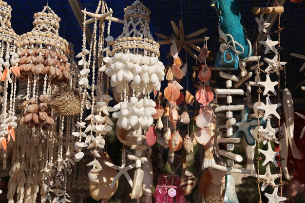 Souvenir Seashells in Bodrum