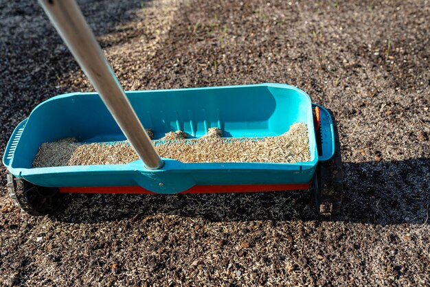 Photo sowing grass with a wheeled seeder visible grass grains and black soil