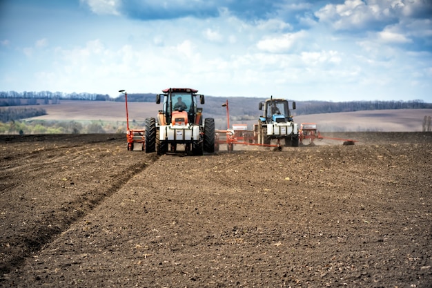 Sowing work in the field. Tractor with seeder.