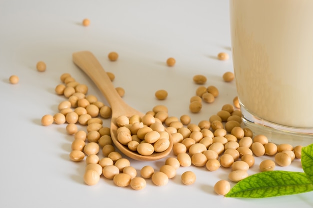 Soy milk and soy bean it on white table background, healthy concept. Benefits of Soy.