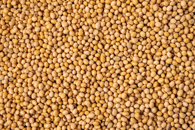 Soybean, dried soy beans, organic health grain seeds, Texture and Background.