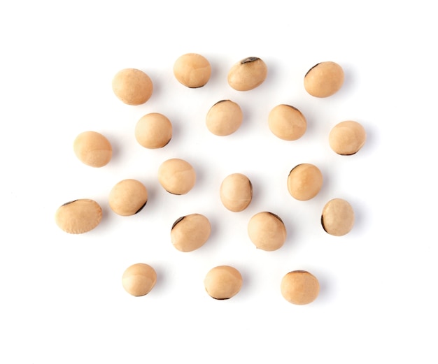 Soybean isolated on white