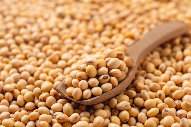 Soybean on wooden spoon, dried soy beans, organic health grain seeds, Texture and Background.