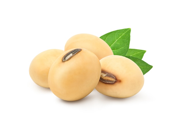 Soybeans with green leaves on white background