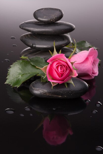 Spa stone and rose flowers still life Healthcare concept