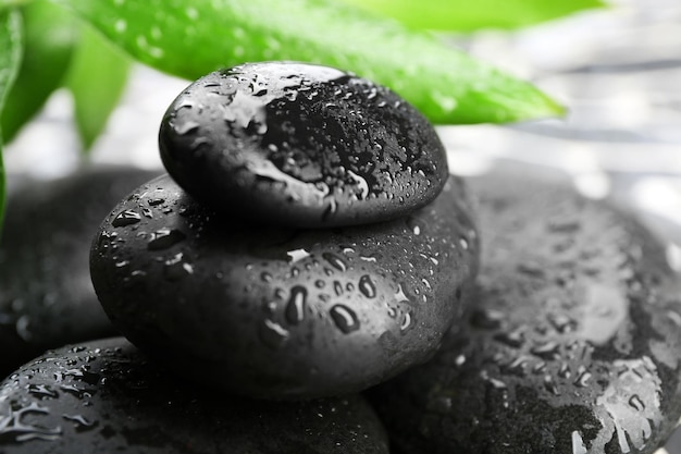 Spa stones and bamboo branch closeup