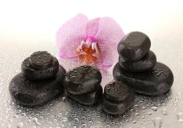 Photo spa stones and orchid flower on wet background