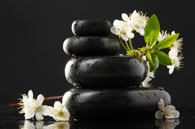 Spa stones and white flowers isolated on black