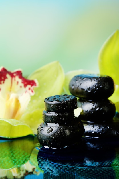 Spa stones with water drops and beautiful blooming orchid in water on natural background