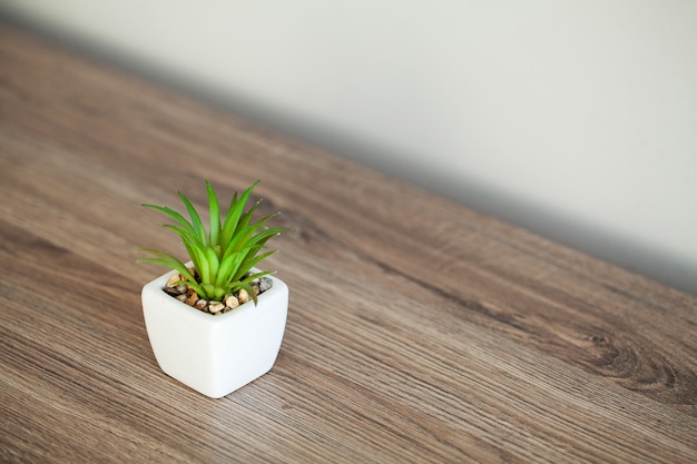 Spa. Succulent plant on window ledge in modern bathroom