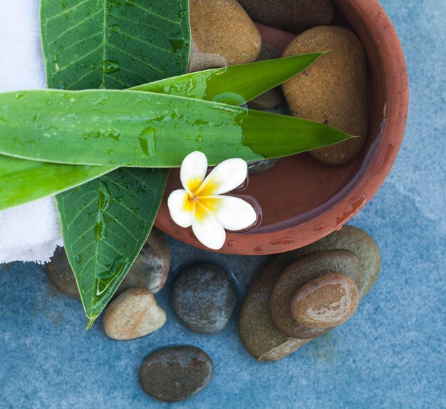 Spa tropical flower and stones for relax time on blue background