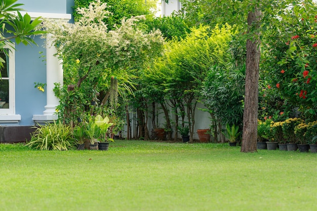 Spacious backyard grass garden, plants and flowers decorate the house.