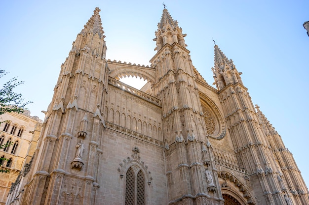 Spains Sacred Stone Exterior Glory of Mallorca Cathedral