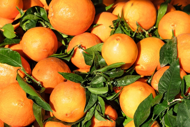 Spanish fresh oranges on stall market in southern Spain