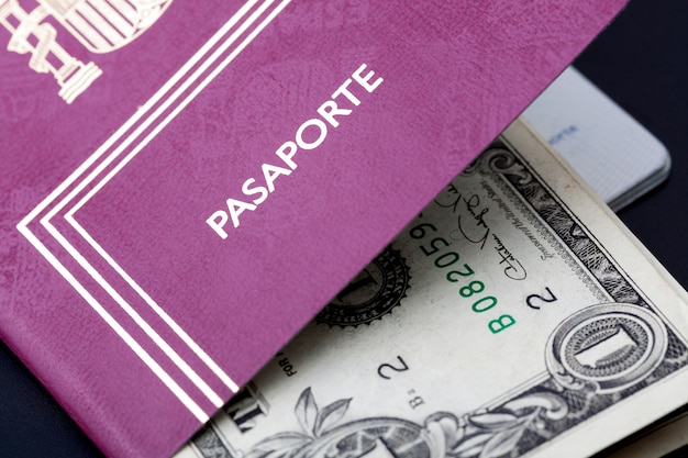 Spanish passport with money dollars