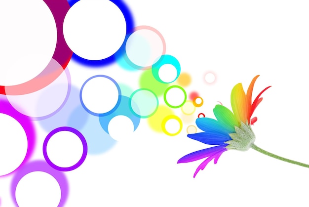 Speech bubbles come out of rainbow flower