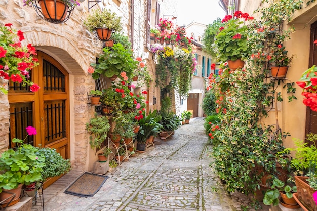 Spello, Italy - Circa June 2021: flowers in ancient street. Spello is located in Umbria region, Italy.