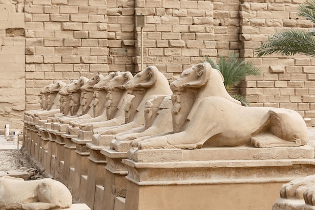 Sphinxes in Karnak Temple Luxor Egypt