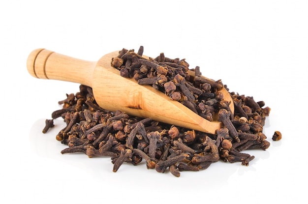 Spice cloves isolated