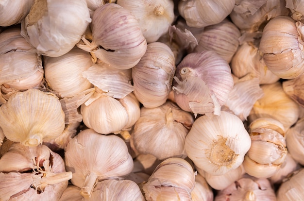 Spicy begetable for meat or other meal. Garlic in shell