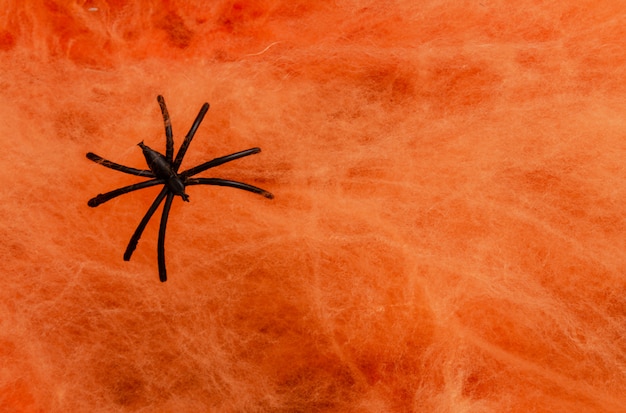 Spider on orange web halloween concepts background with copy space