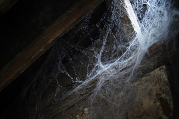 Photo a spiderweb cast across a wooden beam