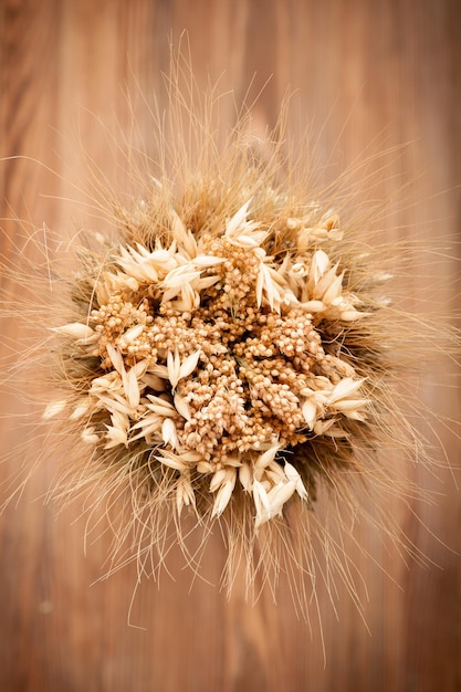 Spikelets rye oats wheat mustard