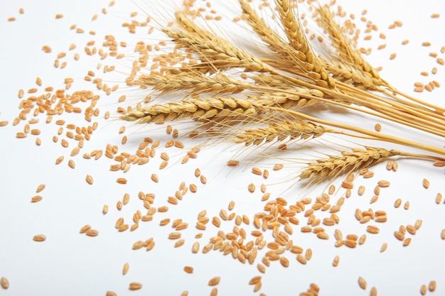 Spikelets of wheat and grains on a light background