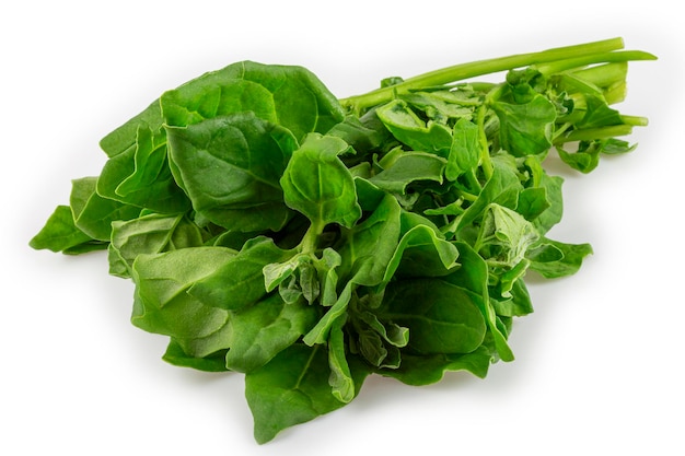 Spinach isolated on white background