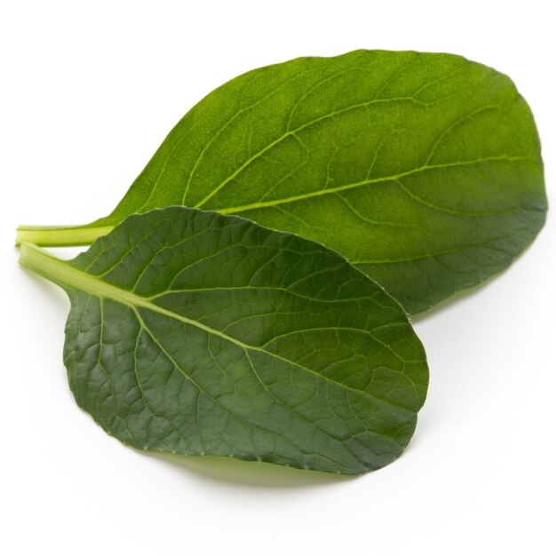 Spinach leaves against white surface